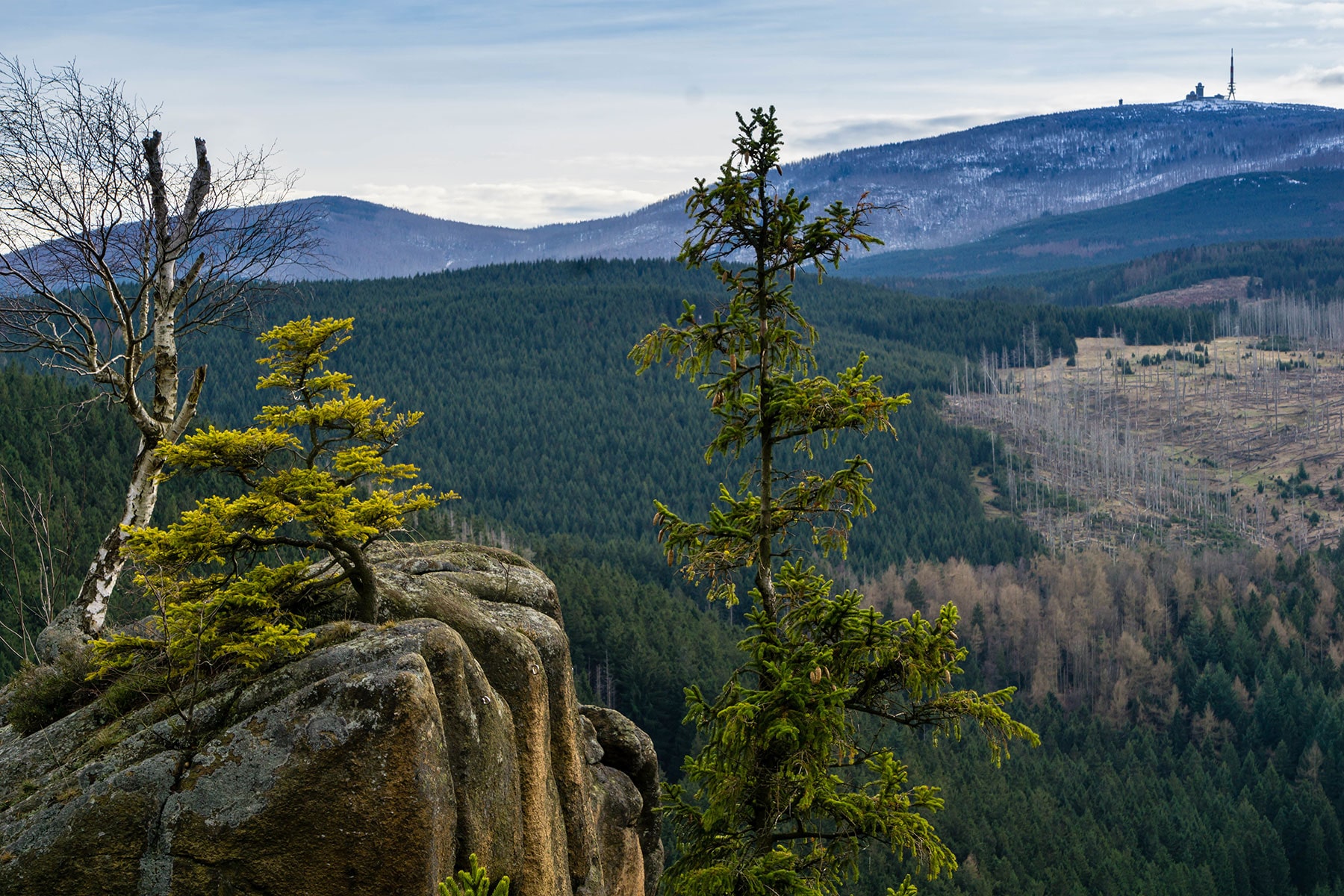 Blick auf den Brocken